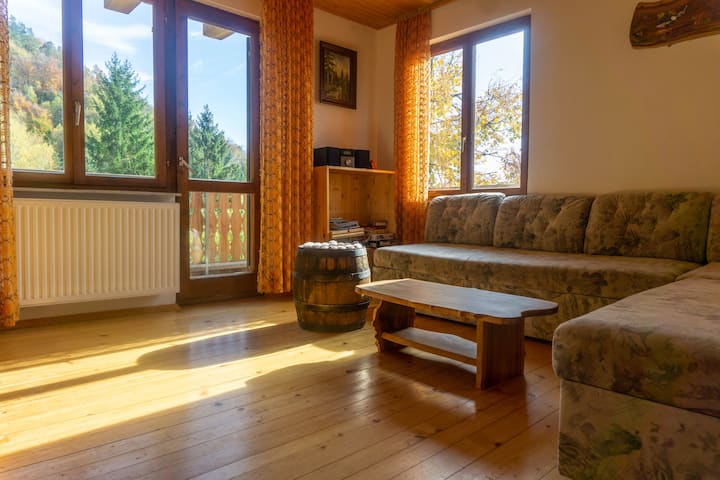 Sofa in the living room