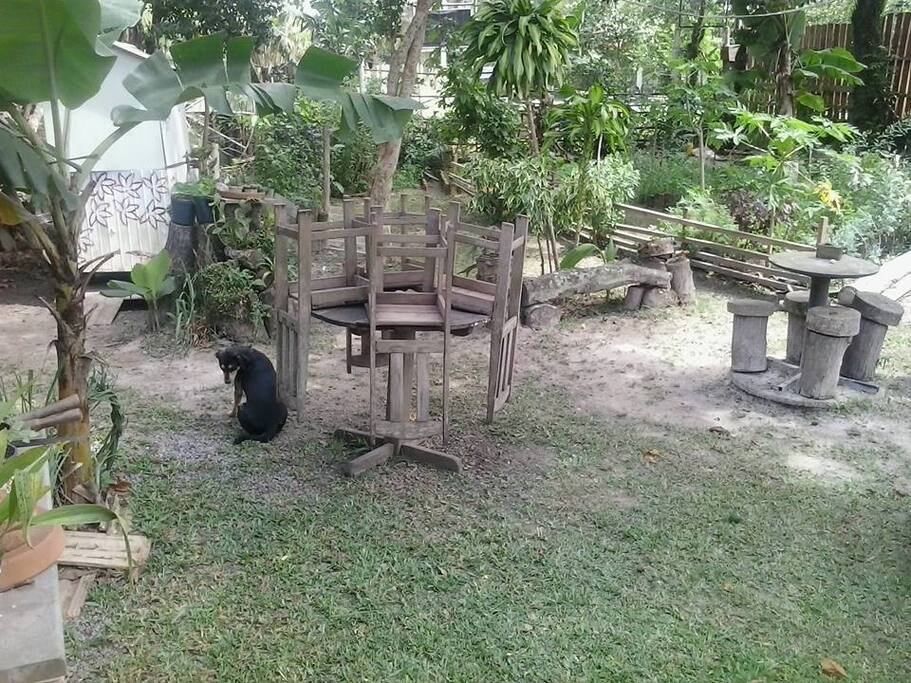 área externa de jardim e horta
