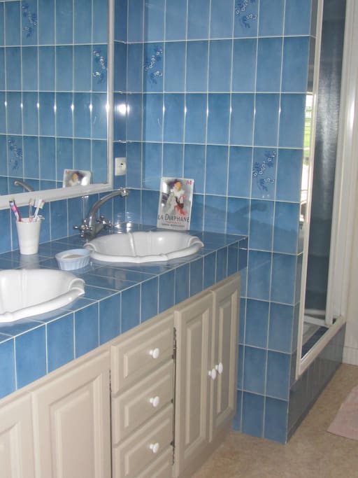 salle de bain avec douche et WC privatifs (proches de la chambre)