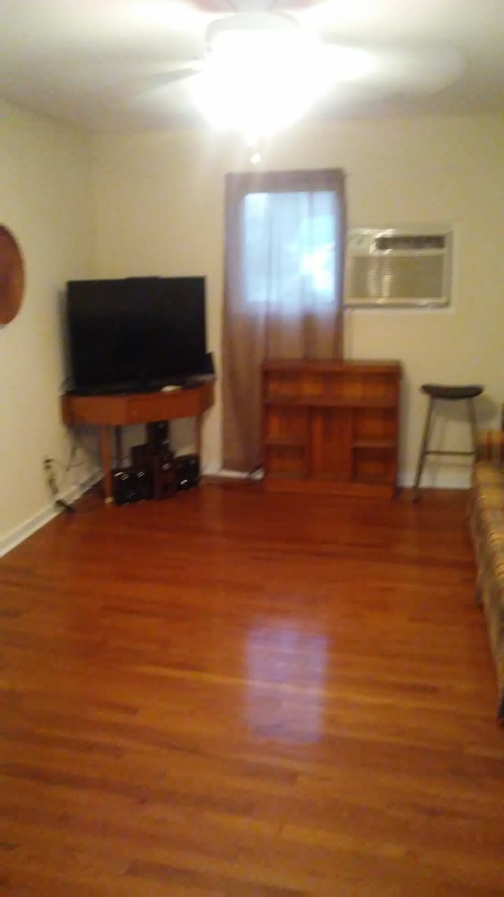 Belle Morris Apt 2bed/2bath Sleeps 6 No Pet Fees! - 諾克斯維爾
