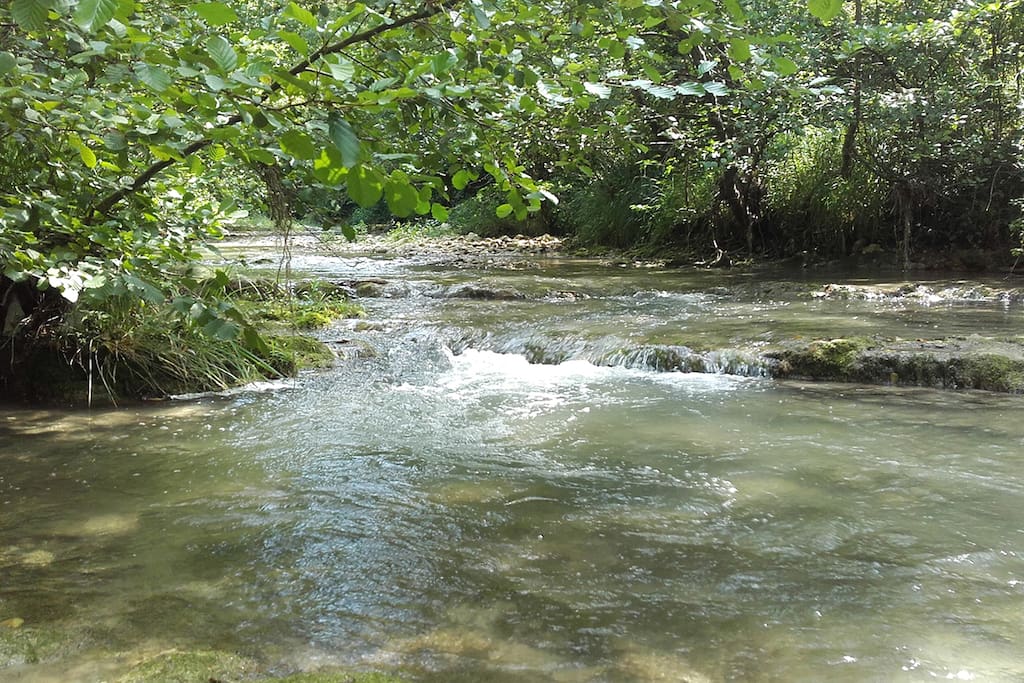 Une petite baignade dans le Jabron ?