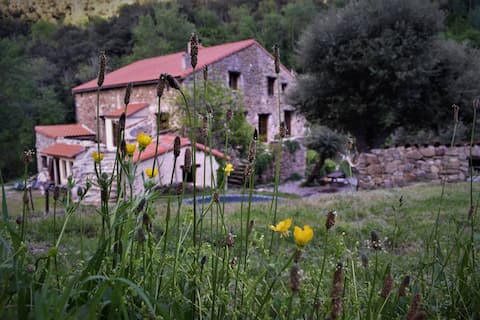 Mas de la Fargassa - Large peaceful cottage