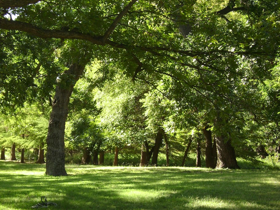 Large green space just below the cottage.