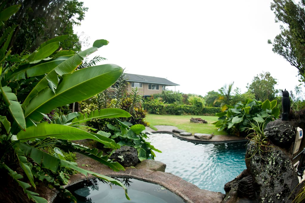 View of house from hot tub