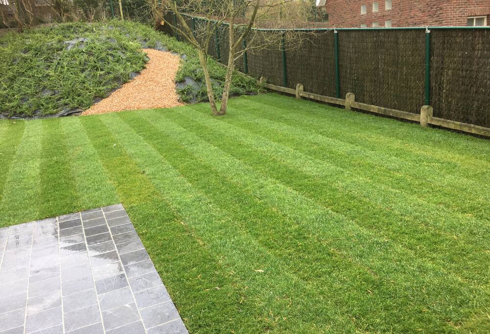 Nieuw aangelegde tuin sedert dec 2017