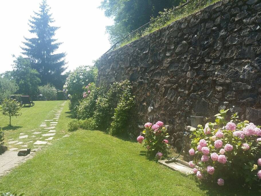 Vista del giardino anteriore dal forno a legna