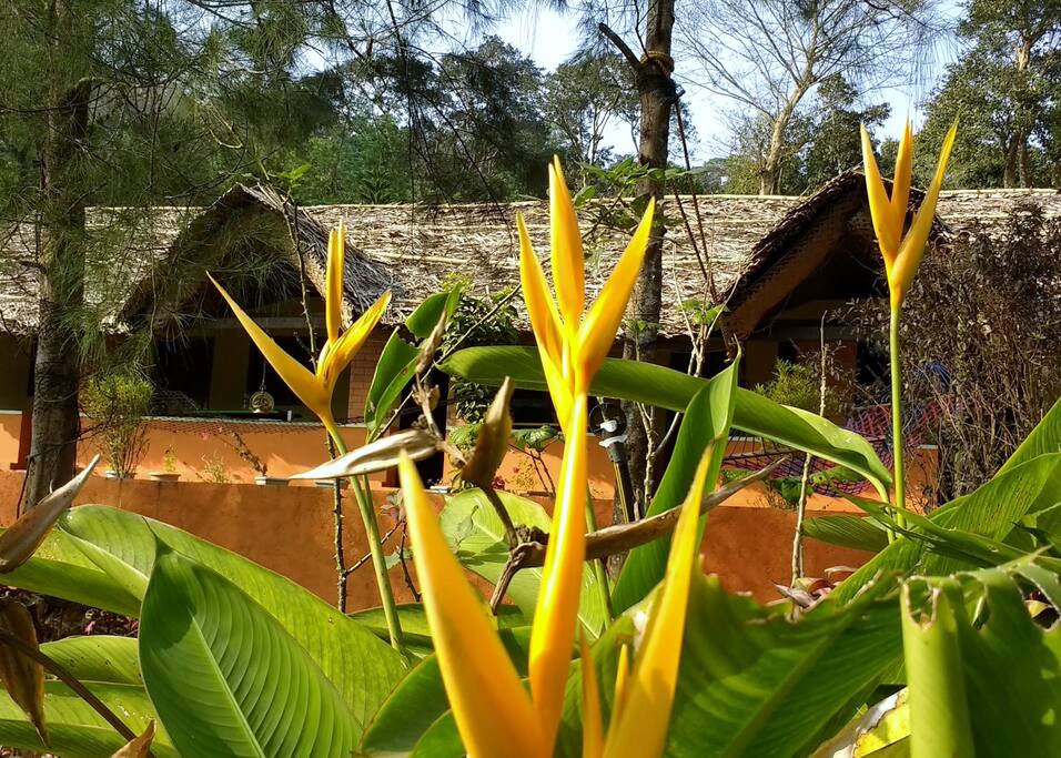 5-Room Homestay