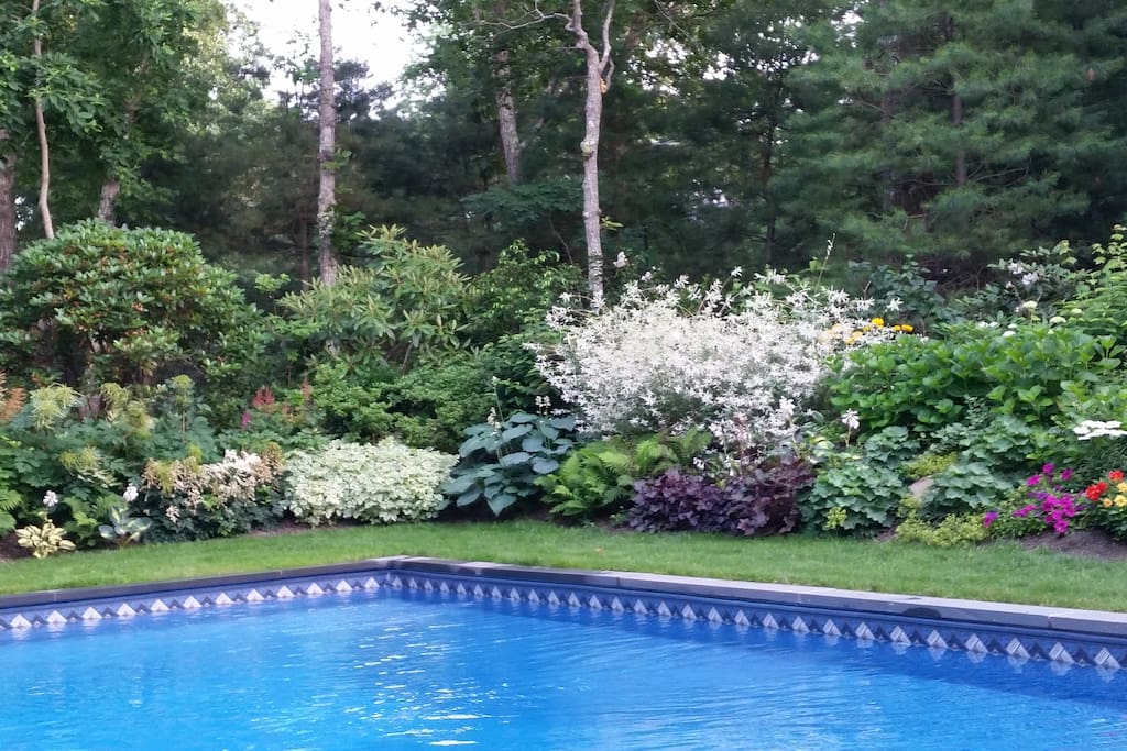 The pool from the deck