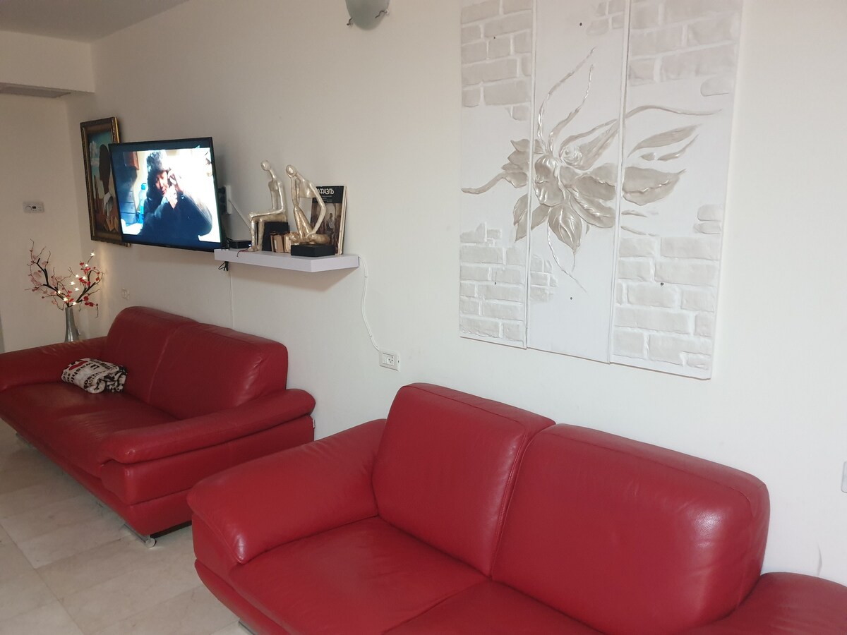A living area features two red leather sofas positioned across from a wall-mounted television. Above the television, a minimalist shelf displays decorative items. A piece of wall art with a floral design adds an elegant touch, while soft lighting provides a cozy ambiance.