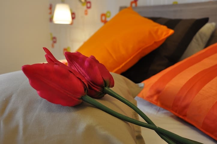 Just Colosseum Suite