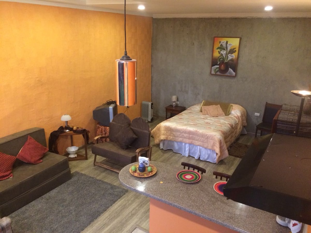 A spacious studio is highlighted by warm orange walls, complemented by a cozy seating area featuring a dark sofa and two armchairs. A patterned bedspread covers the bed, which is positioned against a textured gray wall. A small table with decorative items is visible, along with a pendant light above.