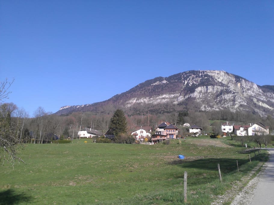 Maison côté montagne, à droite du sapin