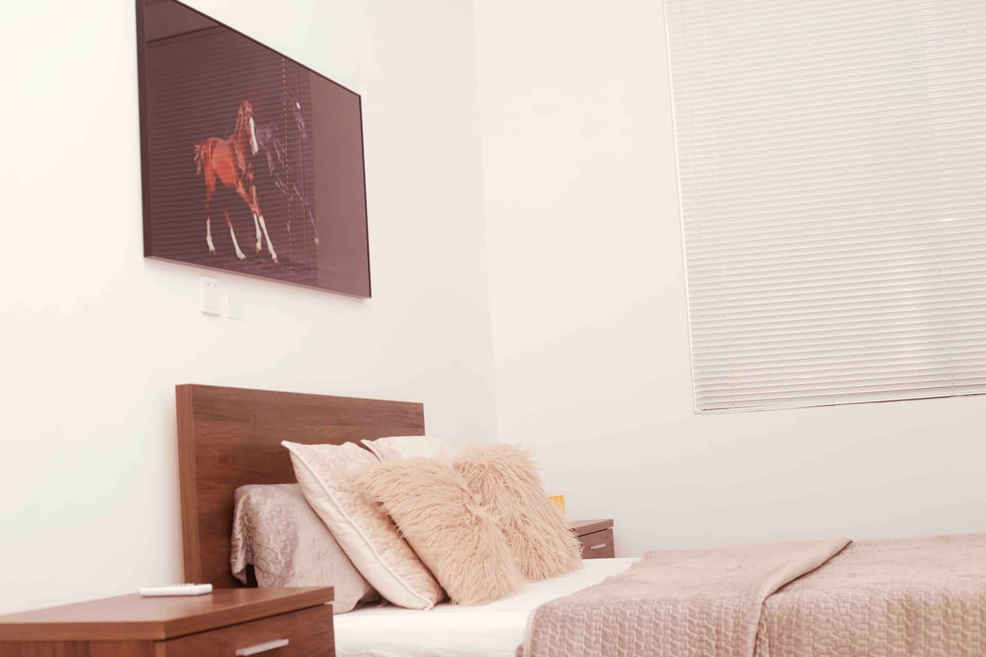 Luxury 2 Bedroom Apartment photo 6