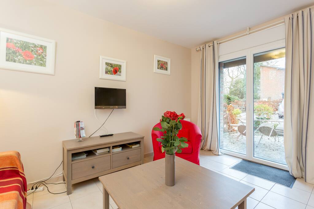 salon avec TV, wifi, lecteur dvd, donnant sur la terasse