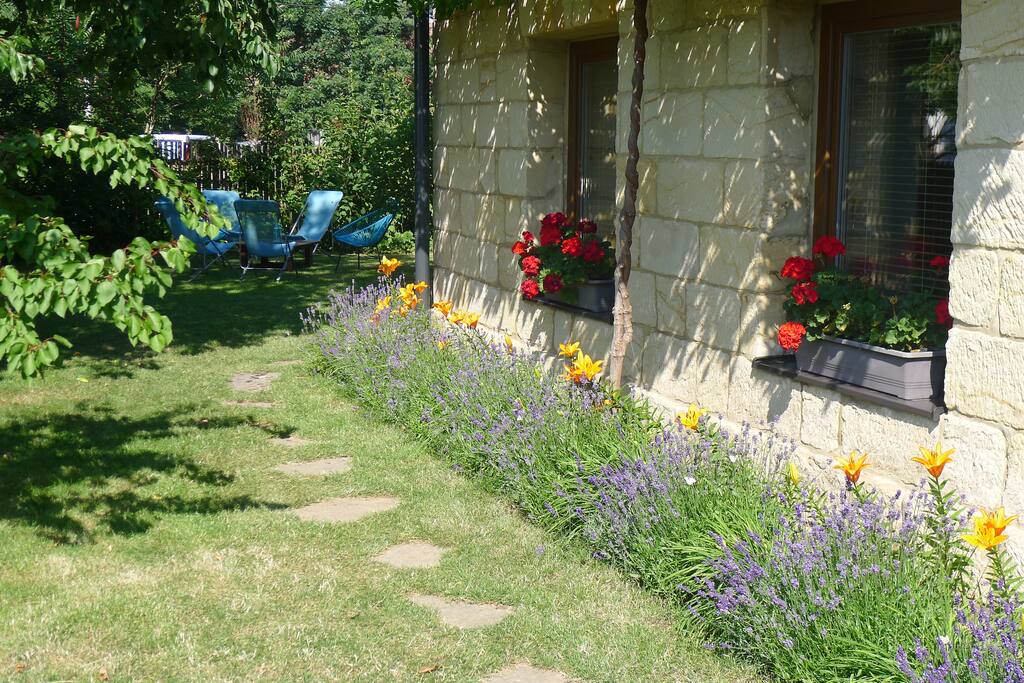 garden