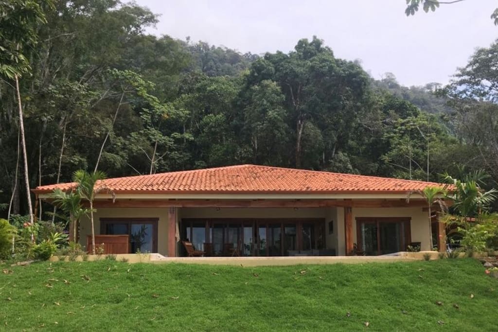 Vista del bosque secundario que rodea la casa
