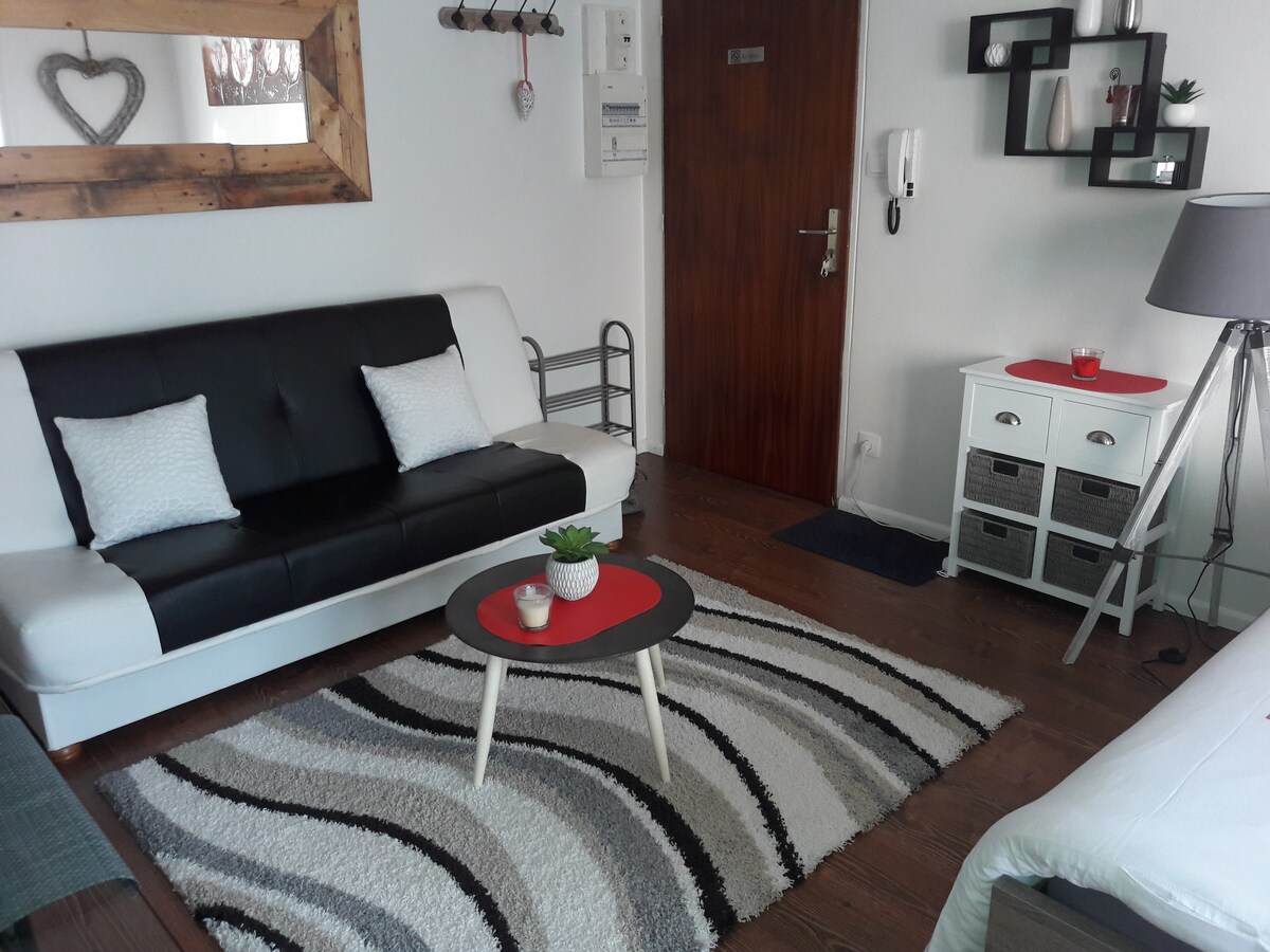 Airbnb performant: Colmar Historic Center Apartment, garage option à Colmar