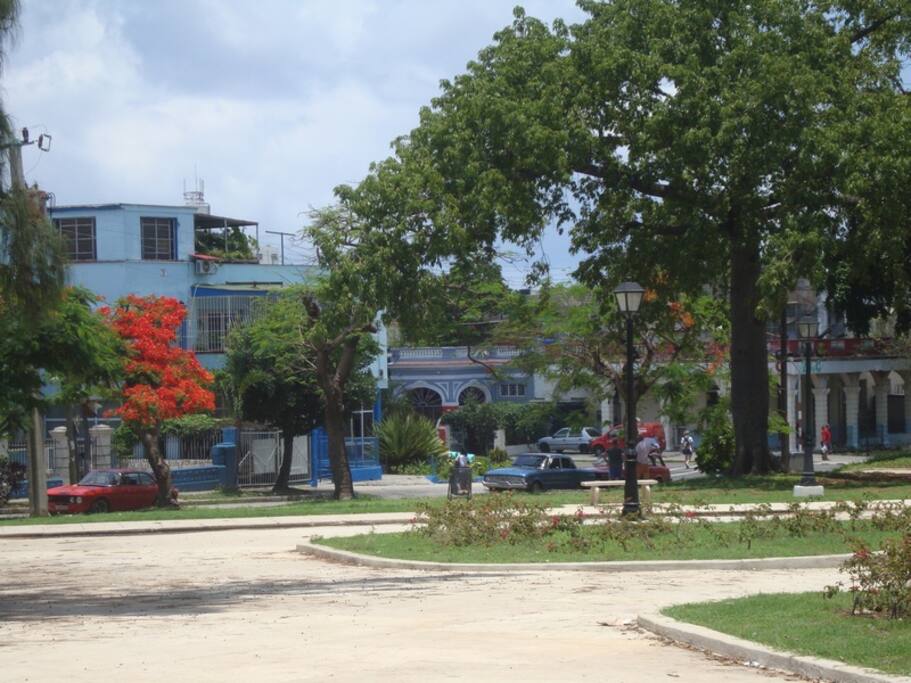 Parque frente al edificio