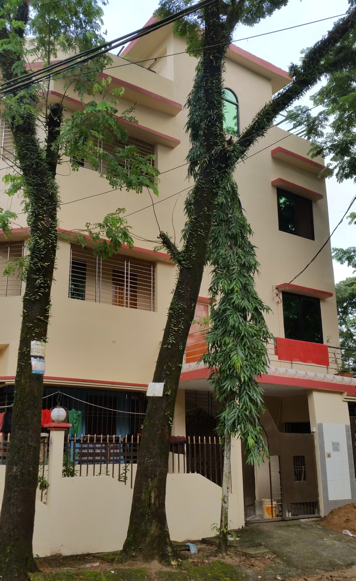 The three-story building features a light-colored exterior with multiple windows that provide natural light. Tall trees stand beside the structure, with one tree displaying green leaves trailing down. A wrought iron fence encloses the property, with a covered entrance visible.