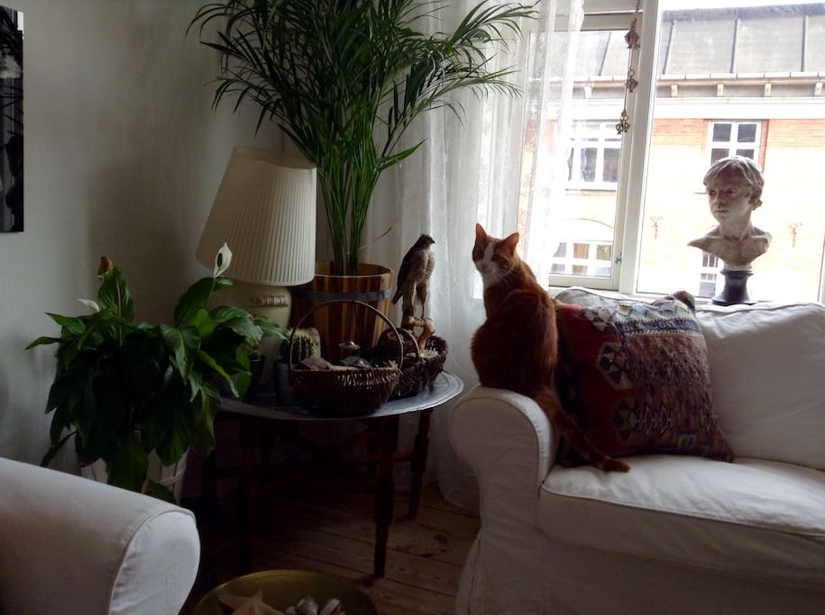 Livingroom