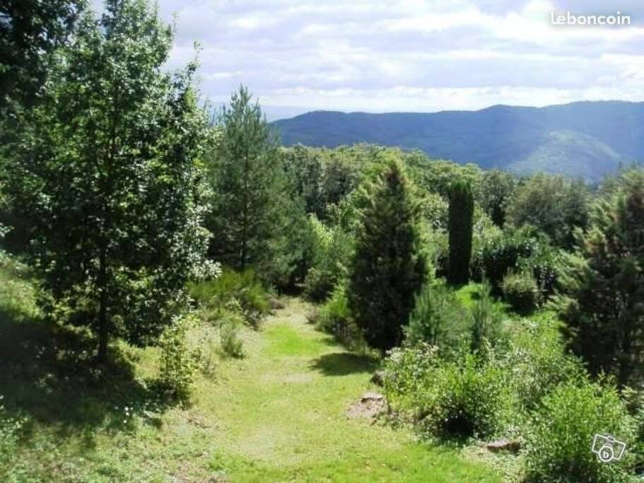 Vue depuis le balcon sur la Plaine d'Alsace, le Château du Hohlandsbourg et la Forêt Noire
