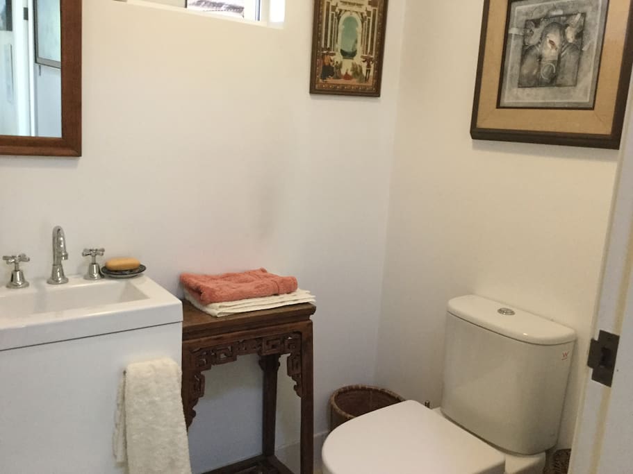 Separate toilet