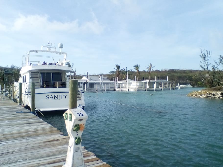 Sanity at the Dock