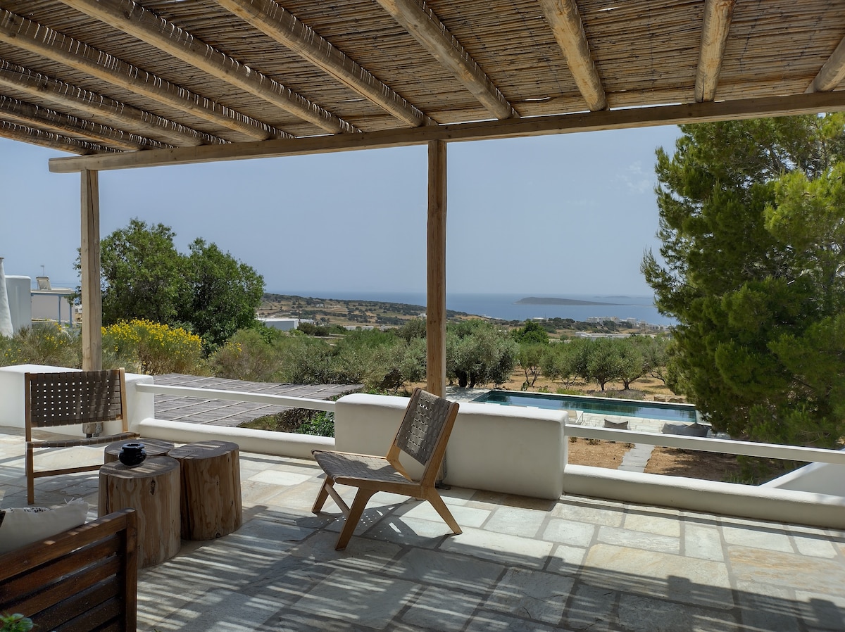 An outdoor patio area is highlighted by a wooden pergola, providing shade over simple seating arrangements. Panoramic views of the Aegean Sea and olive groves are visible in the background, creating a serene landscape for relaxation.