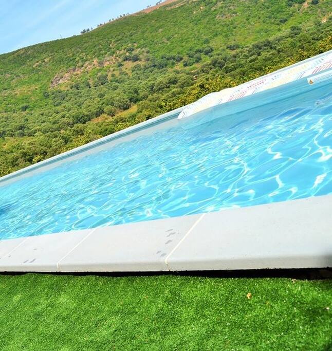 piscine face au maquis