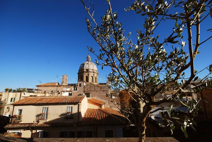 Pink Rooftop Campo de’ Fiori gallery image 3
