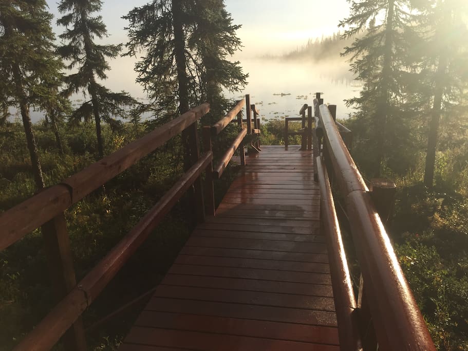 Boardwalk to the lake. This is VERY private and only for the use of our treasured guests here at "A Walden's Pond".