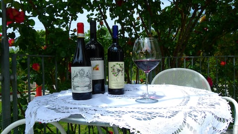 "Federica's house" in Dogliani, Langhe, Barolo