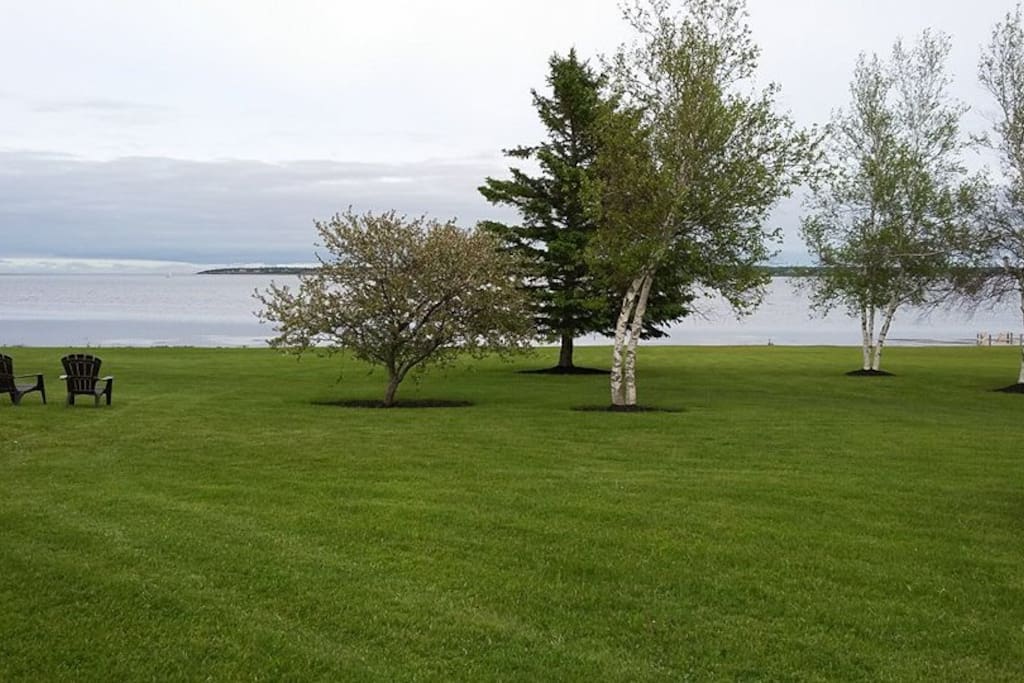 Large waterfront backyard