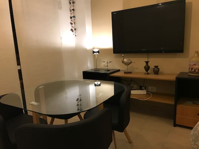 Comfortable apartment in the city center