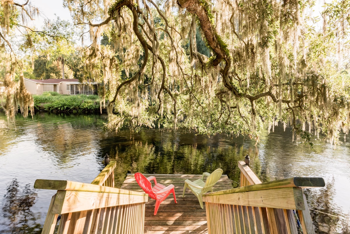 A wooden dock extends over calm waters, shaded by a sprawling tree draped with Spanish moss. Two colorful chairs in red and green sit invitingly on the dock, offering a perfect spot to relax and take in the serene river views.