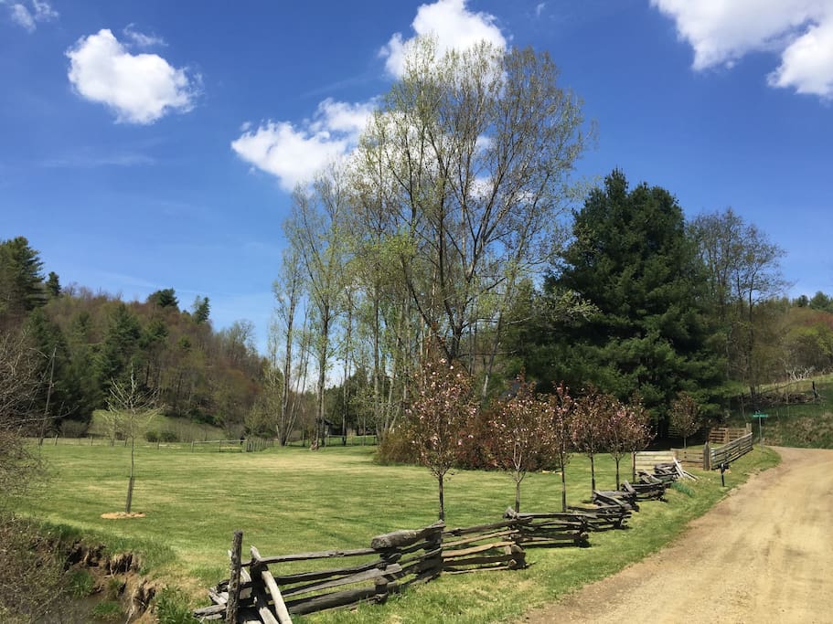 This from Showalter Road - and our farm is on the corner. We own land on both sides of the road, so it is very private.