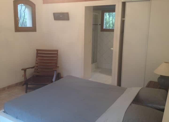 Suite principal azul (Planta baja-Piscina)