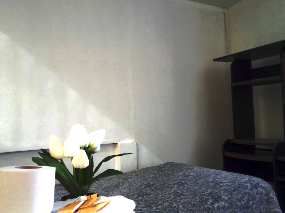 A simple and bright room is shown, featuring a neatly made bed with a dark patterned cover. A bouquet of white flowers is placed on a small table alongside a roll of paper. A shelf is visible in the corner, enhancing the room's functionality.