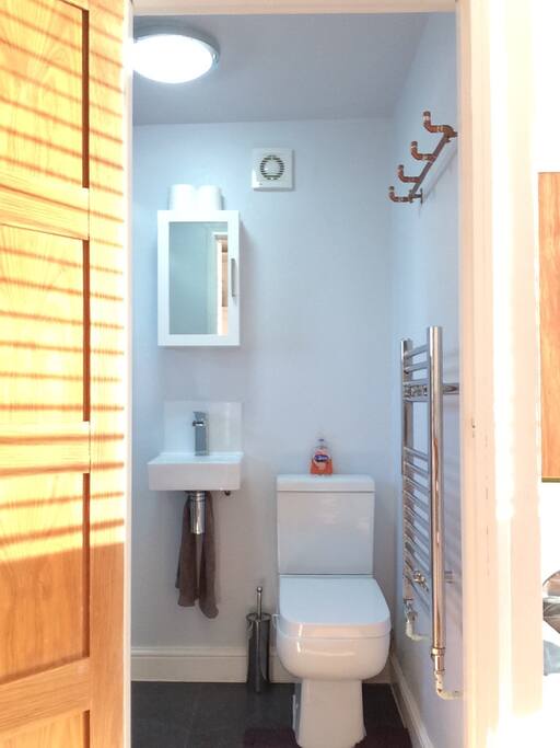Bathroom including the shower