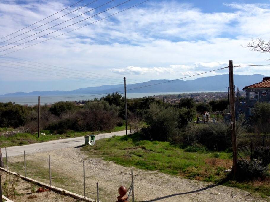 View