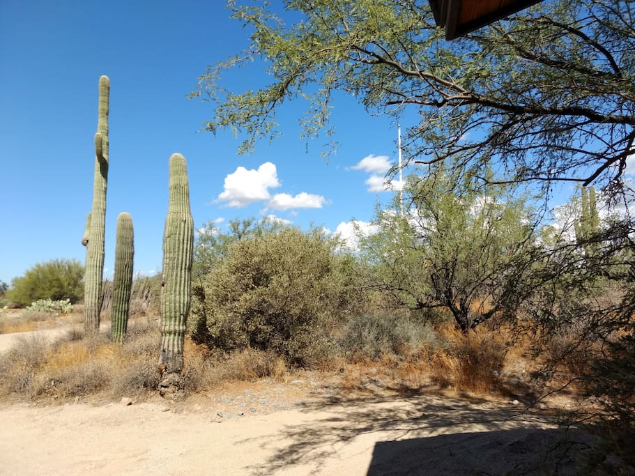 Flax Gulch parking area