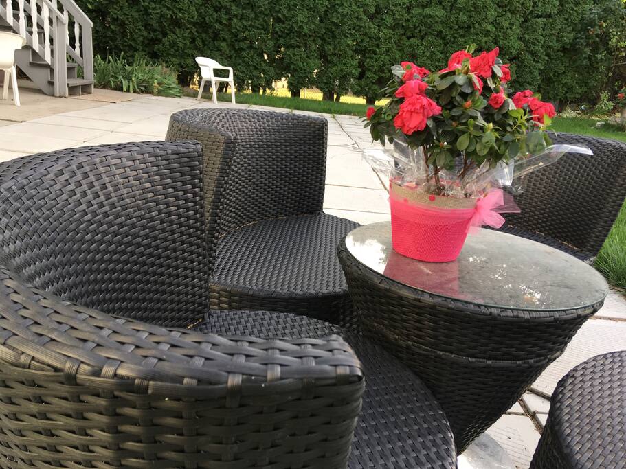 Patio/Back Yard