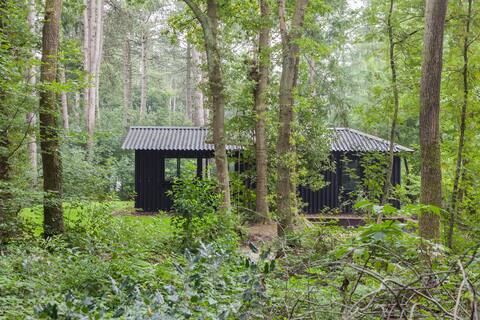 Design boshuisje in Friesland