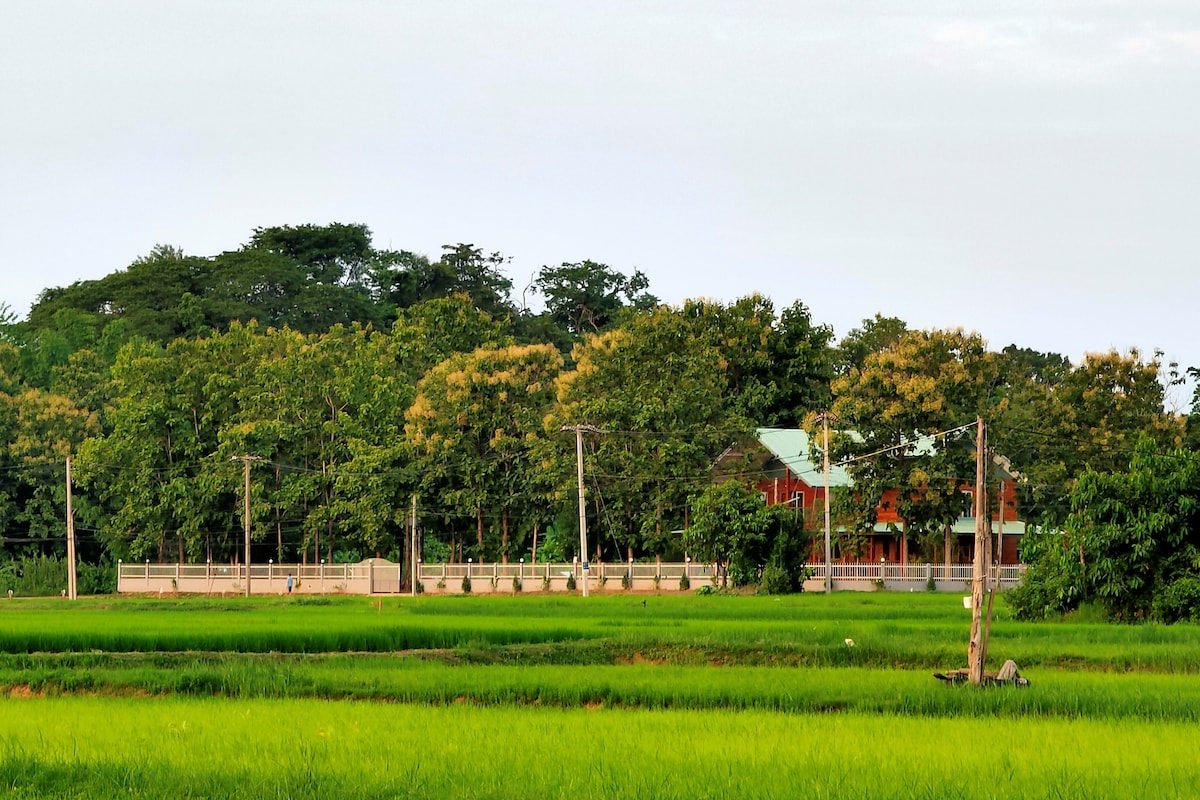 A two-storey teak house is framed by lush greenery and rice fields. The structure is surrounded by trees, offering a rural setting that blends with nature. Power lines are visible in the foreground, highlighting the peaceful charm of the location.