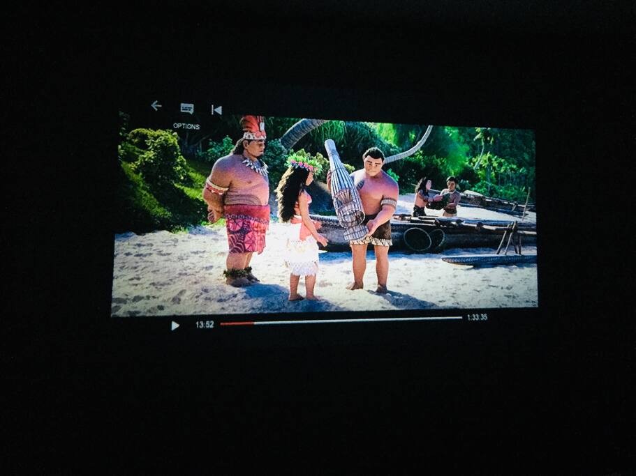Over 100 inch Theater Experience with Netflix and Amazon Videos right in your room!