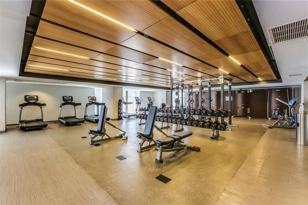 The Guardian 'Lions' Gym View 2