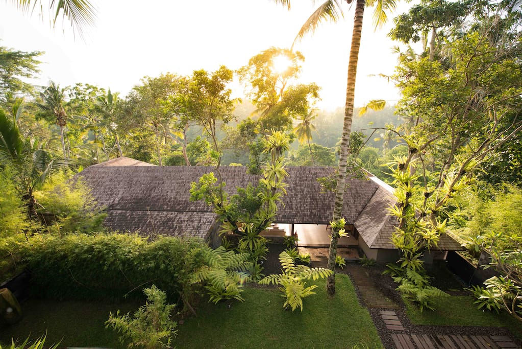 The house seen from above