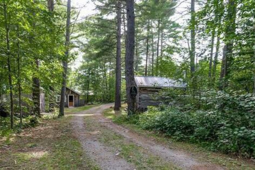 Entrance leading to cottages surrounded by 150' red pine trees