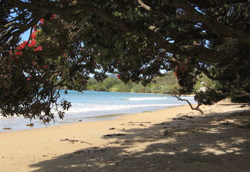 Coopers Beach in Doubtless Bay is a tree lined, safe shaded beach.