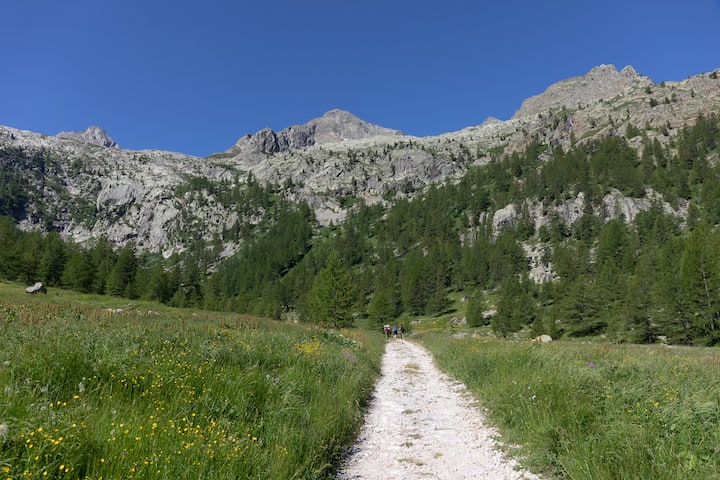 field with mountains in the background